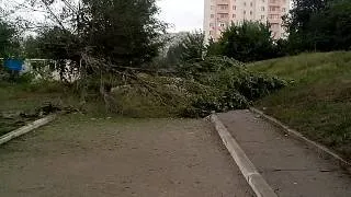 VID 20140714 184021