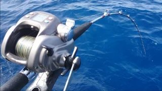 Deep drop bottom fishing with Electric reel