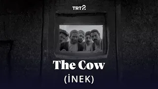 The Cow (İnek) | Fragman