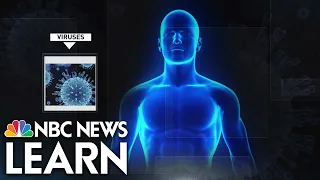 Science Behind the News: Influenza & Flu Vaccines