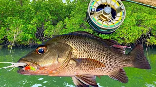 Saltwater Fly Fishing Leader Setup & Tropical Species on Fly