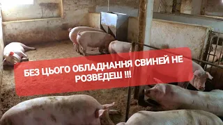 Без цього ОБЛАДНАННЯ  СВИНЕЙ не РОЗВЕДЕШШ!!