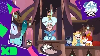 Star vs the Forces of Evil | Buttefly Trap | Clip