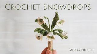 Crochet Snowdrops Flower   Moara Crochet