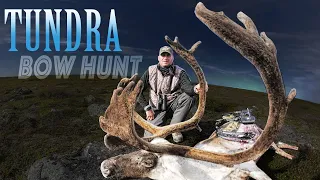 Caribou Bow hunt! - Guy Eastman Hunting Quebec Reindeer