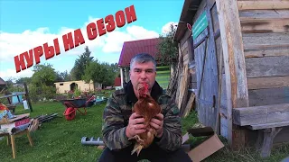 СЕЗОННОЕ СОДЕРЖАНИЕ КУР НЕСУШЕК. ОЧЕНЬ ПОДРОБНО.