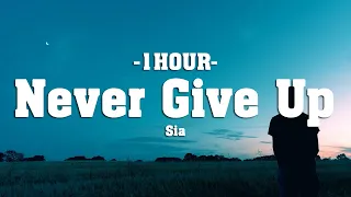 Sia - Never Give Up (Lyrics) [1HOUR]