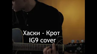 Хаски - Крот (IG9 guitar cover)