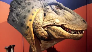 Dinosaur Journey Museum of Western Colorado