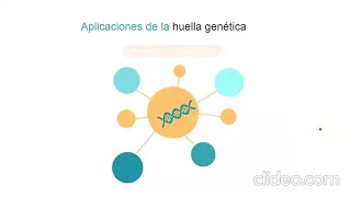 MAPEO E IDENTIFICACIÓN GENÉTICA