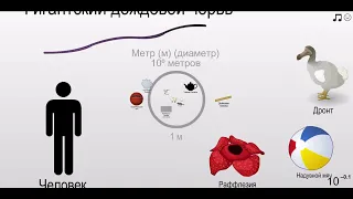 Шкала размеров и расстояний