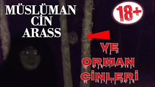 Paranormal olaylar Müslüman Cin Aras ve Orman Cinleri HD