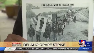 Delano Grape Strike