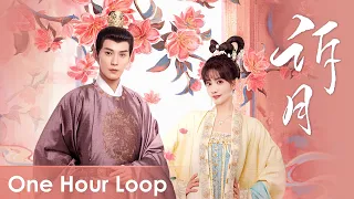 【One Hour Loop】Royal Rumours《花琉璃轶闻》 | 《诉月》"Su Yue" by Liu Xijun【ENG SUB】
