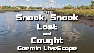 Snook Snook Lost and Caught Garmin LiveScope