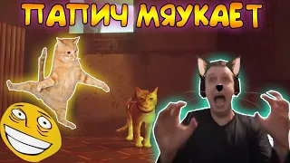 ПАПИЧ МЯУКАЕТ!!(МЯУ!)