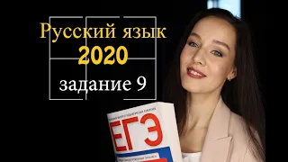 Разбор задания №9 | ЕГЭ по русскому языку 2020