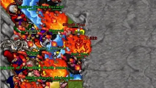 Tibia - Funny Kills and Moments!