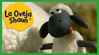 Temporada 1 Compilación 1 - Dibujos animados para niños - La Oveja Shaun