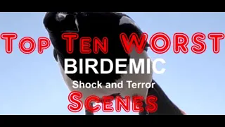Top 10 WORST Scenes from Birdemic Shock and Terror - Top Ten Tuesdays on Game Gods