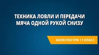 Техника ловли и передачи мяча одной рукой снизу