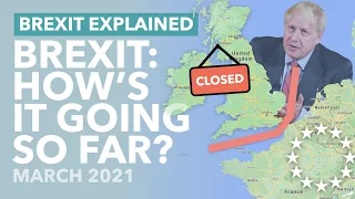 How's Brexit Going (2 Months Later): Success Stories & Troubles at the Border - TLDR News