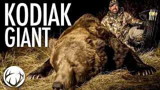 Kodiak Brown Bear at 20 yards WITH A BOW  // Lee & Tiffany Lakosky