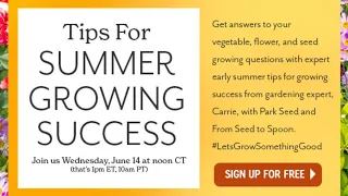 Tips for Summer Growing Success