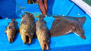 AMAZING TROLLING video..!! GROUPERS AND EAGLE RAY CAUGHT WITH HALCOS POLTERGEIST LURE