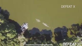 WATCH | Drone captures alligator attack on man swimming in Florida