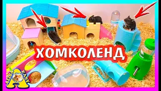 ДЕНЬ РОЖДЕНИЯ ХОМЯЧАТ / ПОДАРКИ ДЛЯ ХОМКИ / Alisa Easy Pets