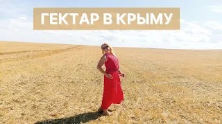Покупка гектара в Крыму под ключ | Земля в Крыму под ферму и инвестирование