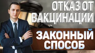 КАК ПРАВИЛЬНО ОТКАЗАТЬСЯ ОТ ВАКЦИНАЦИИ // Законные способы отказа от прививки // #shorts