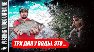 🎣 THREE-DAY FEEDER AND SUPER-COOL HOLIDAY ON THE SHORE 👍 OF | KANIV RESERVOIR | FishingVideoUkraine