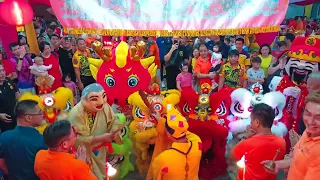 5 Lion Dance & LED Dragon Dance with Choy San Yeh, Buddha