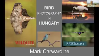 Wildlife Photography in Hungary with Mark Carwardine