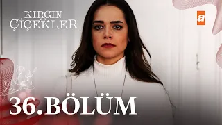 Kırgın Çiçekler 36. Bölüm - atv