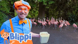 Blippi Feeds & Plays With Animals At The Zoo | Animals For Kids | Educational Videos For Kids