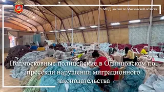 Подмосковные полицейские в Одинцовском г.о. пресекли нарушения миграционного законодательства