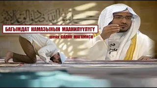 Багымдат  намазынын маанилүүлүгү / Шейх Салих Магамиси