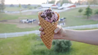 Moomers ice cream is an iconic northern Michigan treat