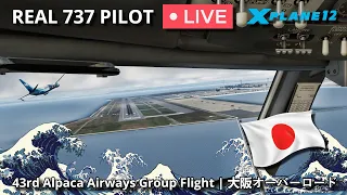 Real 737 Pilot LIVE | 43rd Members Group Flight | Osaka Overload | X-Plane 12