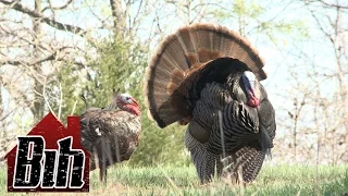 15 Yard Files: Skipping School and Turkey Hunting