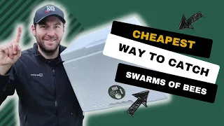 Cheapest Way To Catch Bees - Start Beekeeping For Free - Easiest Way To Catch Swarms