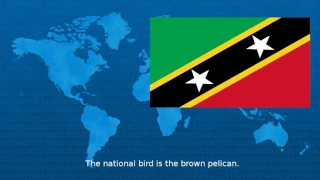 Saint Kitts And Nevis  - Wiki