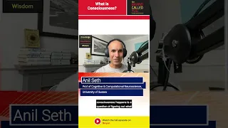 What is Consciousness? | Anil Seth | Prof, Cognitive and Computational Neuroscience, Univ of Sussex