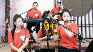 【唐音樂隊】《一剪梅》LIVE Tangyin 唐音乐队 Chinese Music 二胡 竹笛 古筝 Erhu Dizi Guzheng 國樂 乐器演奏 中國樂器 Chinese music