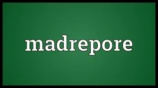 Madrepore Meaning