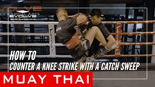 Evolve University | Counter a Knee Strike with a Catch Sweep