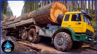 100 MOST CRAZY Biggest Wood Logging Truck Operator Skill Working At Another Level | Best Of The Week
